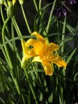DSCN0515.jpg