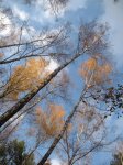 DSCN0837.jpg