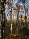 DSCN0834.jpg