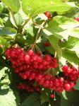 DSCN0638.jpg