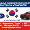 Mohnatiy_VIK
