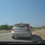IMG_8337.JPG