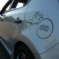 IMG_3040.JPG