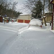 IMG_8723.jpg