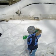 IMG_8729.jpg