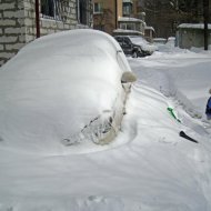 IMG_8732.jpg