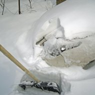 IMG_8734.jpg