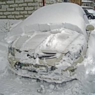 IMG_8761.jpg