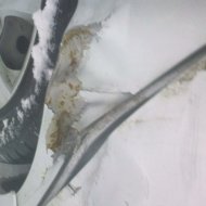 23012012090_001.jpg